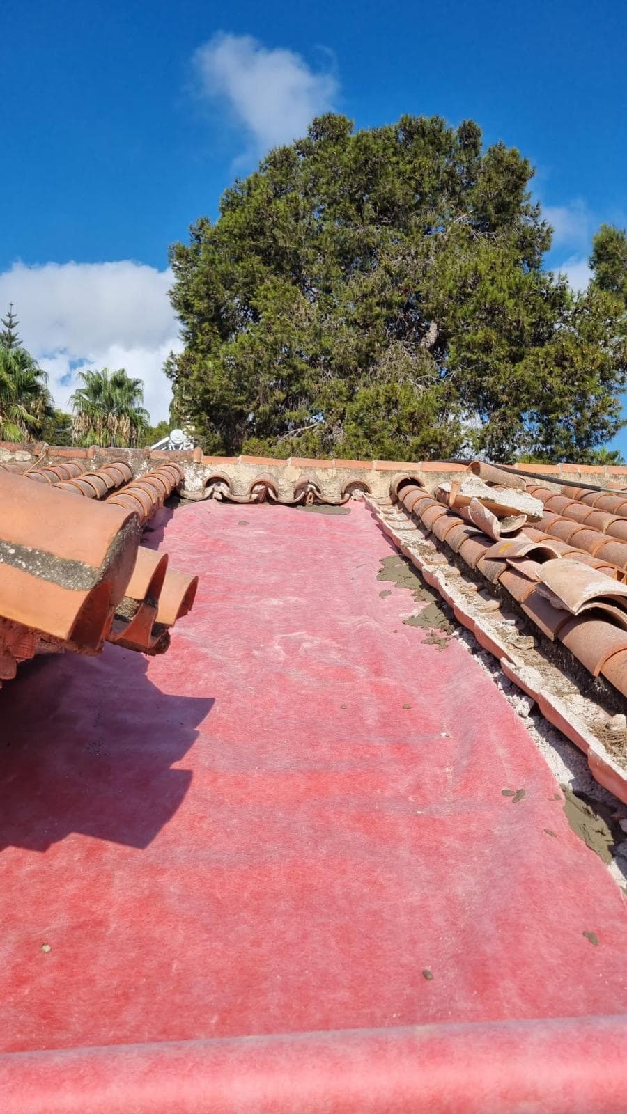 Restauración Techo Torremolinos · imagen 16
